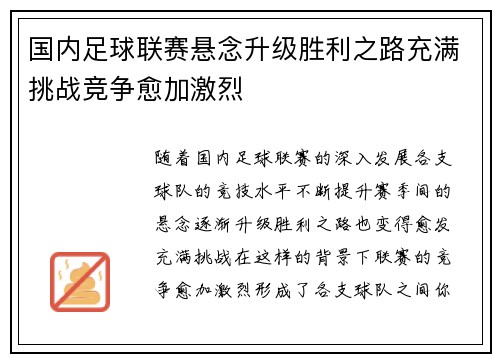 国内足球联赛悬念升级胜利之路充满挑战竞争愈加激烈 国内足球联赛悬念升级胜利之路充满挑战竞争愈加激烈
