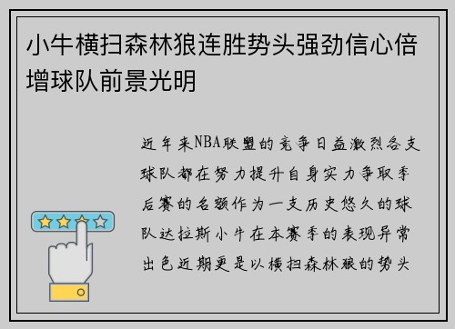 小牛横扫森林狼连胜势头强劲信心倍增球队前景光明
