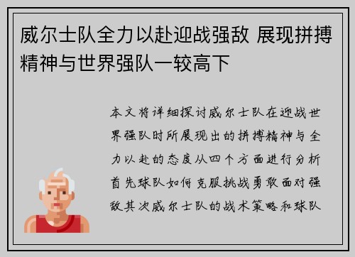 威尔士队全力以赴迎战强敌 展现拼搏精神与世界强队一较高下
