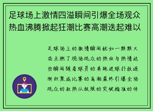 足球场上激情四溢瞬间引爆全场观众热血沸腾掀起狂潮比赛高潮迭起难以置信